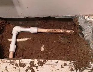 环翠测漏水哪家好