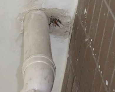 环翠漏水检测哪家好